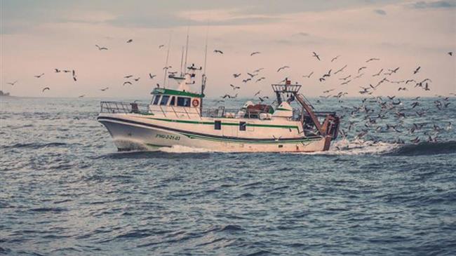 Η τοπική στρατηγική για την αλιεία, τη θάλασσα και την υδατοκαλλιέργεια στην αλιευτική ζώνη Νήσων Αττικής και Νοτιοανατολικής Πελοποννήσου