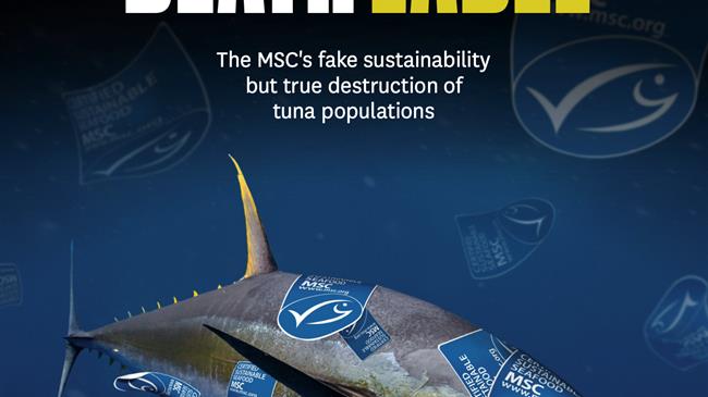 Half of MSC-certified tuna comes from fisheries using destructive FADs