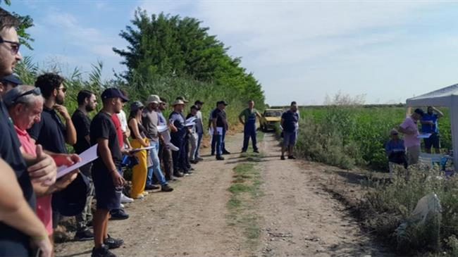 Nέο προϊόν ΚΟΜΦΟΥΖΙΟ από την ANTHESIS για τον έλεγχο του πράσινου σκουληκιού στο βαμβάκι