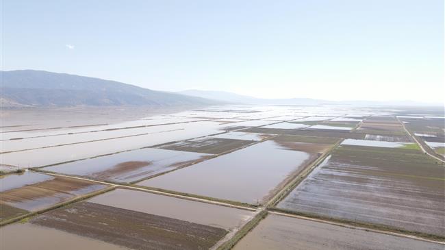 Κόκκαλης σε Αυγενάκη: Διορθώστε άμεσα τον χάρτη των πλημμυρισμένων χωραφιών, αποκαταστήστε τις αδικίες!