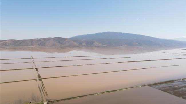 Νέα παρέμβαση για το σκάνδαλο αποζημιώσεων "Daniel" και ψευδείς δηλώσεις στον ΟΠΕΚΕΠΕ