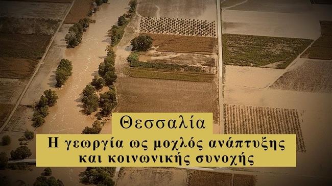 "Πλημμύρες στη Θεσσαλία: Η επίδραση στην οικονομία και η ανάγκη για πρόληψη"