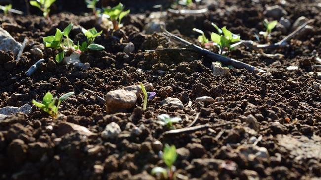 «Αδικία εις βάρος των αγροτών» καταγγέλλει ο Κόκκαλης για τη νέα μείωση 25% στις ενισχύσεις του Μέτρου 23