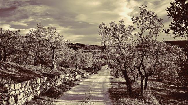 Η εξέλιξη των βιοκαλλιεργούμενων εκτάσεων στην Ελλάδα