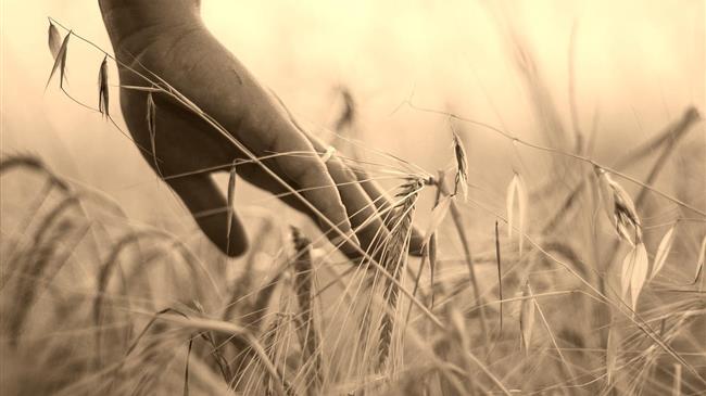 ΟΗΕ: Η Ρωσία κερδίζει τη μάχη για την άρση των κυρώσεων