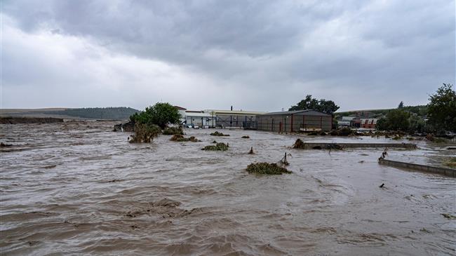 Ν. Δαναλάτος: Δεν έχει «πεθάνει» ο Θεσσαλικός κάμπος