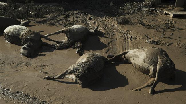 Η σπουδαιότητα της άμεσης και ορθής διαχείρισης των νεκρών ζώων στην Θεσσαλία