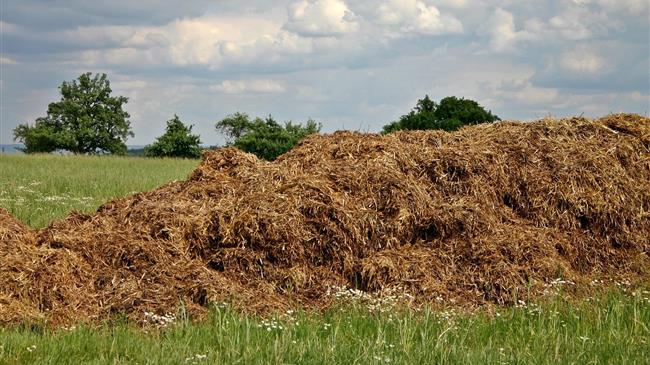 Η αξία του μεθανίου από την κοπριά αγελάδων