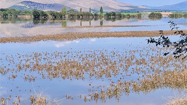 Χαρακόπουλος: Ανάγκη αποκατάστασης της καλλιεργήσιμης γης