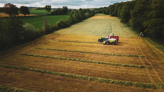 Holstein: Η αναλογία και η πεπτικότητα της ενσίρωσης τριφυλλιού επηρεάζουν τη σύνθεση του γάλακτος