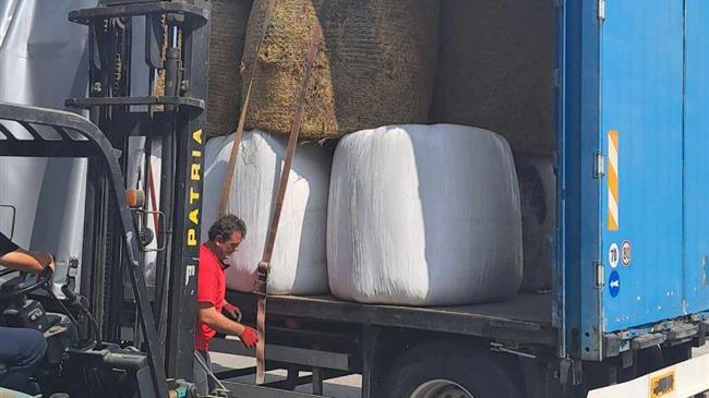 Το ΑΚΚΕΛ έδωσε στήριξη στους πλημμυροπαθείς κτηνοτρόφους της Θεσσαλίας με 180 τόνους τριφύλλι