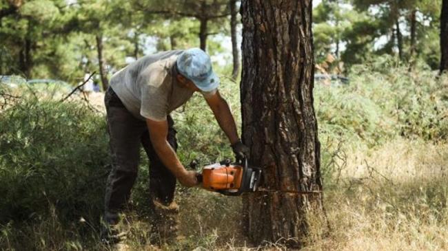 ΠΟΓΕΔΥ: Εικόνα υποστελέχωσης στις Δασικές Υπηρεσίες σε όλη την Χώρα»