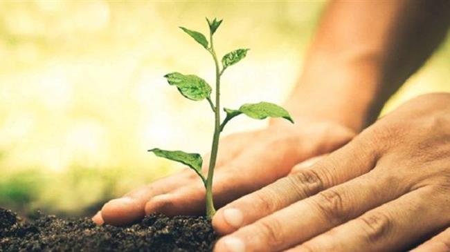 Δημοσιεύθηκαν τα αποτελέσματα ελέγχων φυτοφαρμάκων Μαρτίου - 8 υπερβάσεις και 2 απορρίψεις φορτίων