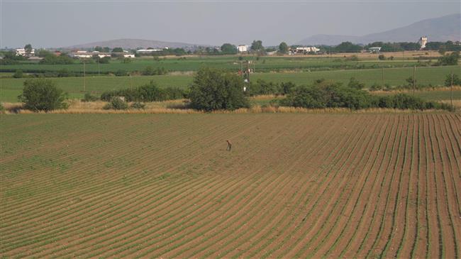 IFOAM Organics Europe regrets a CAP simplification without vision