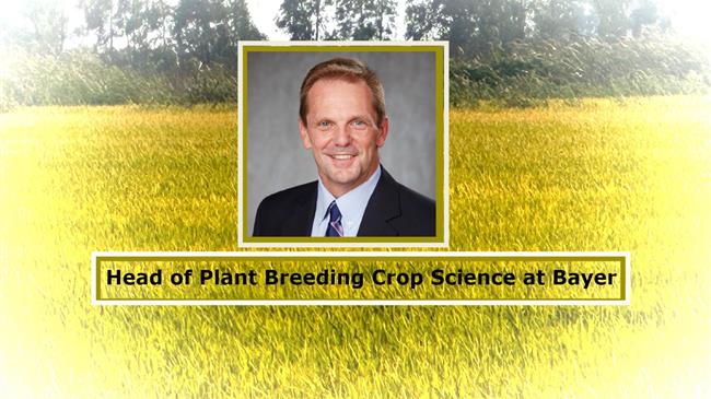 Η Bayer υποστηρίζει πρακτικές αναγεννητικής γεωργίας, όπως η απευθείας σπορά ρυζιού