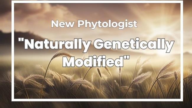 Τα χόρτα «κλέβουν» γονίδια από τους γείτονές τους για να επιβιώσουν