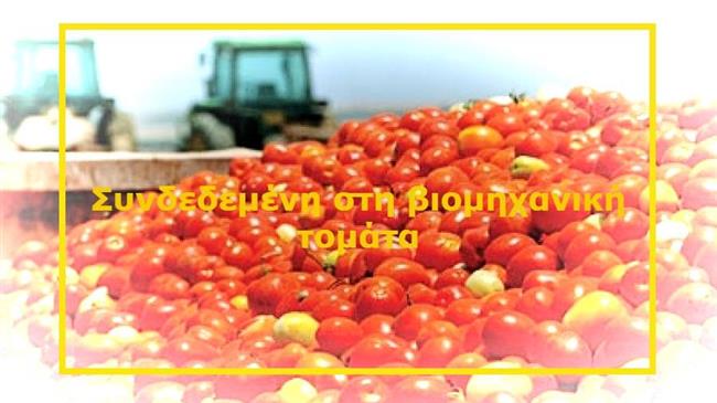 Συνδεδεμένη ενίσχυση στη βιομηχανική τομάτα: 11,17 εκατ. ευρώ για τους Έλληνες παραγωγούς