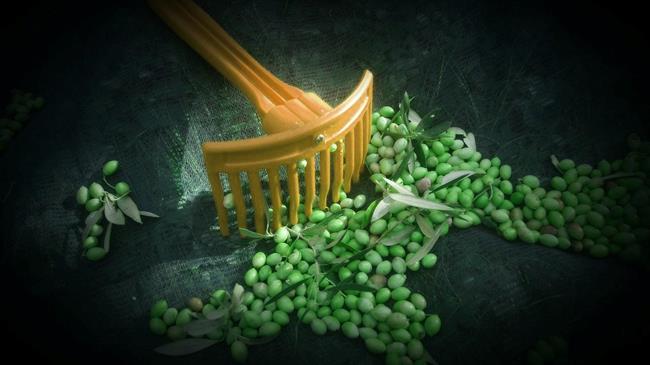 Αγρότες: «Δεν είμαστε υπεύθυνοι για τις υψηλές τιμές στο ελαιόλαδο»