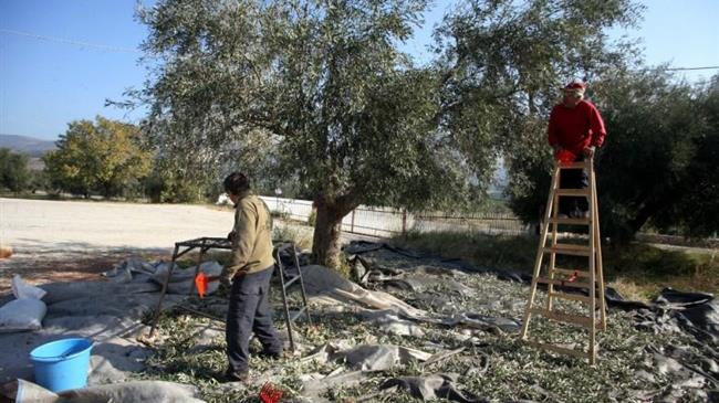 Αγροτικοί Σύλλογοι: Η τροπολογία για τους παράτυπα διαμένοντες είναι ανεπαρκής