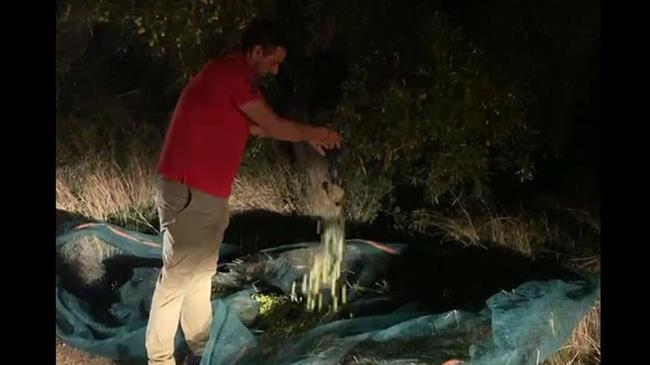 Έκαναν "πλιάτσικο" σε χωράφι της Έυβοιας στις 12 τα μεσάνυχτα