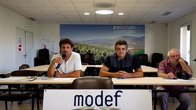 Χωρίς ελάχιστες τιμές στους οίνους, διαμορφώνεται «τοπίο κοινωνικής καταστροφής στην αμπελουργία»