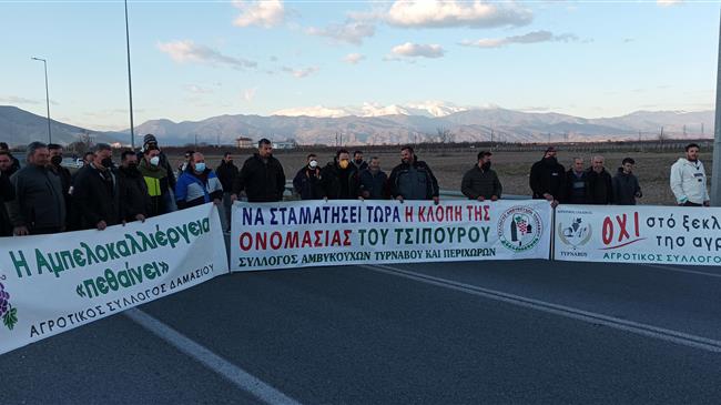 Τύρναβος: Σύσκεψη για τον Περονόσπορο στα αμπελοοινικά προϊόντα