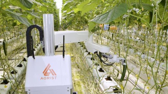 Ιαπωνία: Αύξηση της χρήσης ρομπότ με τεχνητή νοημοσύνη στη γεωργία