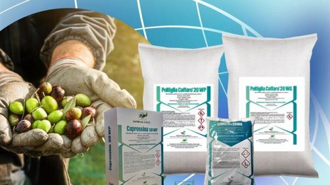 ΚΑΡΒΕΛΑΣ ΑΒΕΕ: Χαλκούχα προϊόντα με εμπειρία μεγαλύτερη από έναν αιώνα