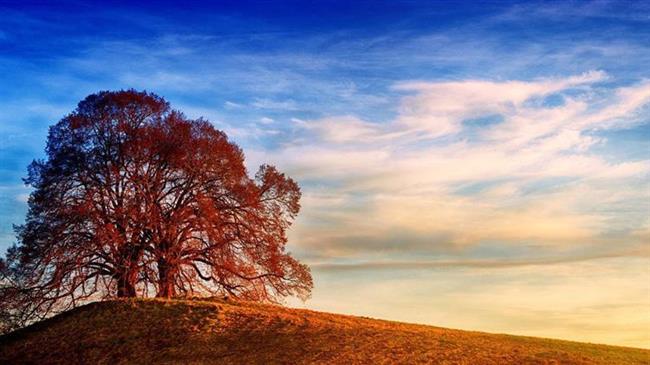 Νέα ΚΓΠ 2023-2027: Υποστήριξη στους γεωργούς για μια πιο βιώσιμη γεωργία