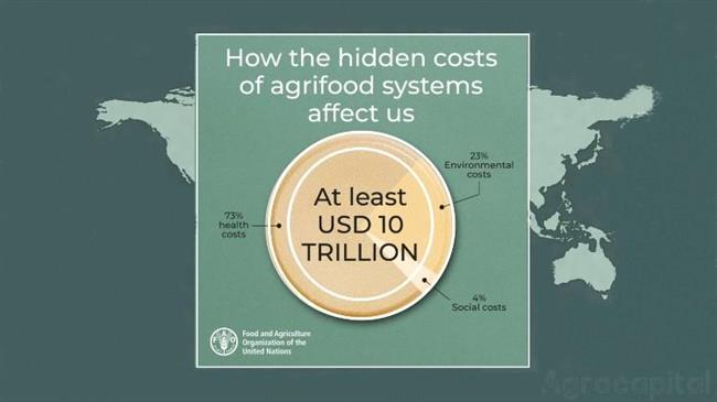 FAO: Ποια είναι τα κρυφά κόστη των συστημάτων αγροδιατροφής