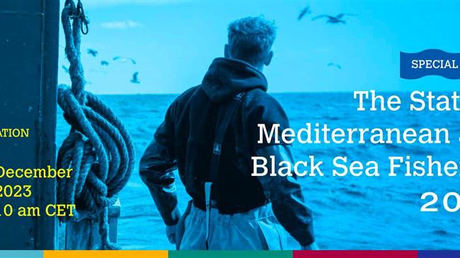 The State of Mediterranean and Black Sea Fisheries