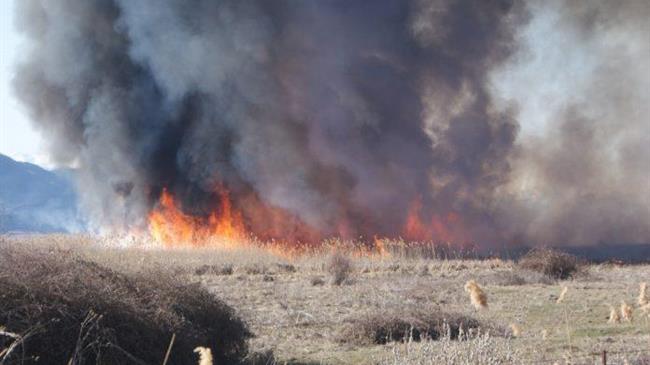 Ινδία: Πρόοδος στη μείωση της καύσης των καλλιεργειών για την καταπολέμηση της ατμοσφαιρικής ρύπανσης