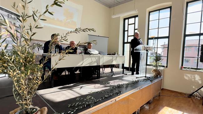 Χαρακόπουλος: Ακριβό ελαιόλαδο ελέω μειωμένης παγκοσμίως παραγωγής ελιάς