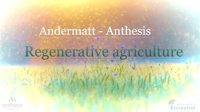 Andermatt - Anthesis: Η ελληνική εταιρεία που πρωταγωνιστεί στην αναγεννητική γεωργία