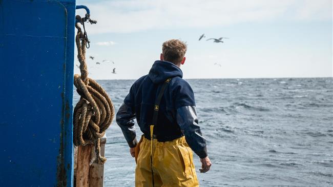 FAO-GFCM : Overfishing in the Mediterranean and Black Sea falls to lowest level in a decade