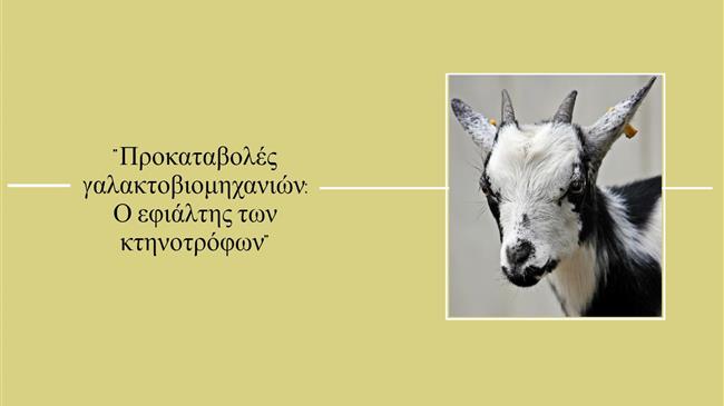 Κτηνοτροφία: Πηγαίνουν για προκαταβολές και βγαίνουν…. «κουρεμένοι»