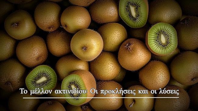 Το μέλλον ακτινιδίου: Οι προκλήσεις και οι λύσεις