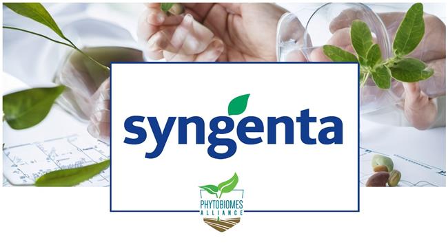 Syngenta και Phytobiomes Alliance συνεργάζονται για να κάνουν τη γεωργία πιο βιώσιμη