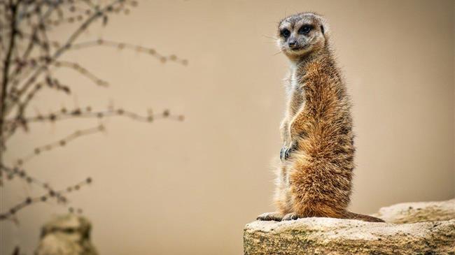 Ποια χρέη παραγράφηκαν