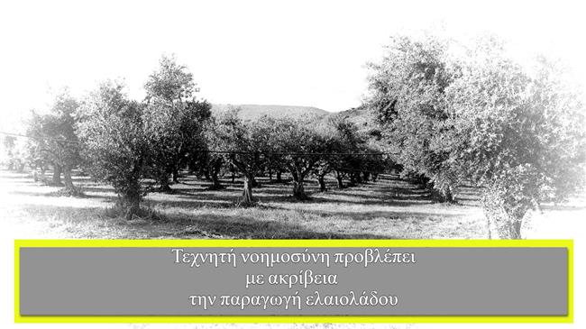Τεχνητή νοημοσύνη προβλέπει με ακρίβεια την παραγωγή ελαιολάδου