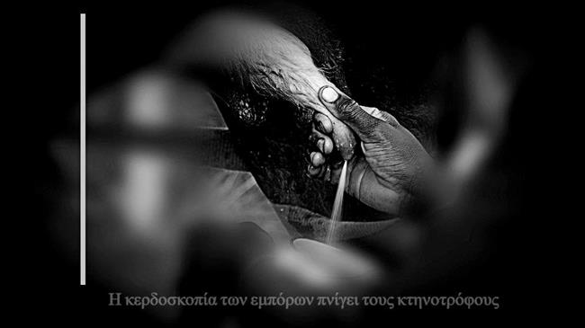 "Φέτα: Η κερδοσκοπία των εμπόρων πνίγει τους κτηνοτρόφους"