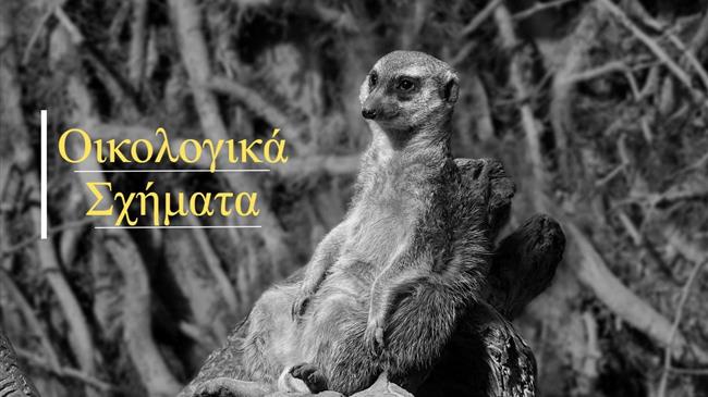 Οικολογικά Σχήματα: Οι αλλαγές πάνε για το… 2025