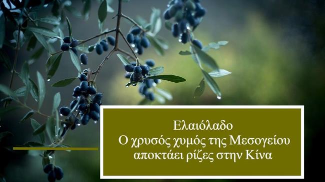 Ελαιόλαδο: Ο χρυσός χυμός της Μεσογείου αποκτάει ρίζες στην Κίνα