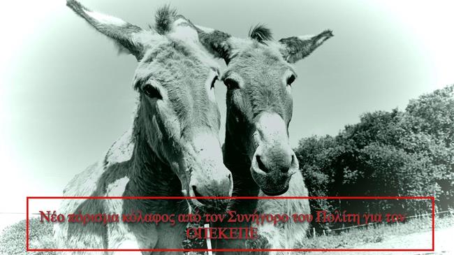 Συνήγορος του Πολίτη: Νέος διασυρμός για τον ΟΠΕΚΕΠΕ