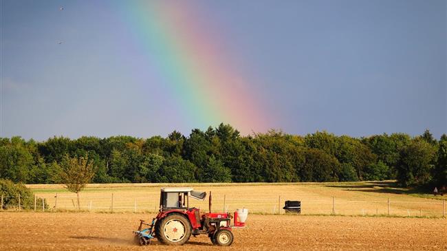 Δικαίωση της Νέας Αριστεράς για το σκάνδαλο των οικολογικών σχημάτων