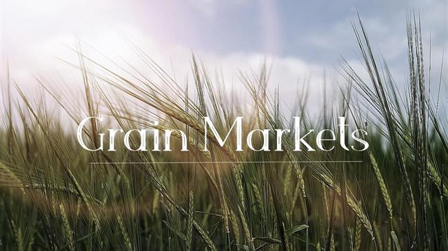 Αλγερία: Αγοράζει 600.000 τόνους σιταριού