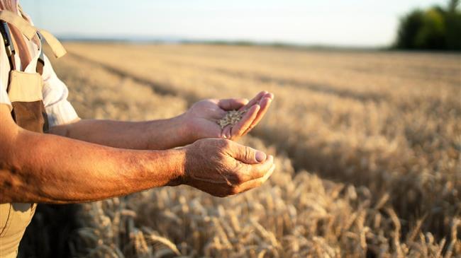 ΠΟΓΕΔΥ: Επιστροφή των δικαιωμάτων στους πραγματικούς παραγωγούς