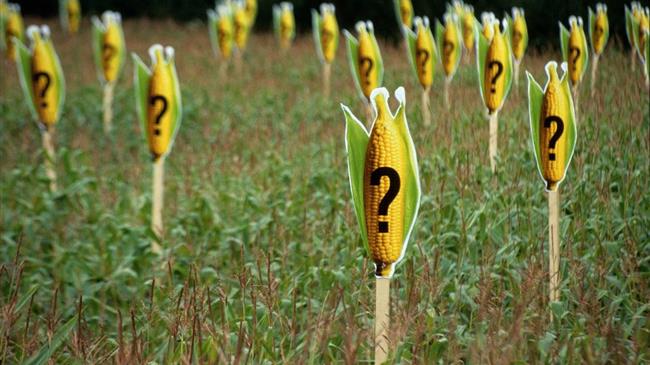 Απορρύθμιση μεταλλαγμένων: πρόβλημα και όχι λύση για τους αγρότες και τη γεωργία