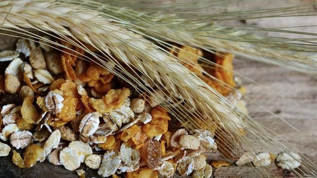 Σταθερός ο Δείκτης Τιμών Τροφίμων του FAO τον Αύγουστο, μικρή πτώση στα σιτηρά