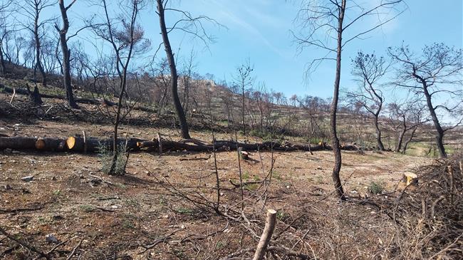 Ολοκλήρωση κατά 70% αντιδιαβρωτικών έργων σε Δ.Αττική και Πάρνηθα